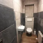 Pavel تكس